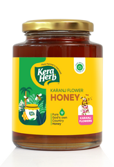 Karanj (Flower) Honey - Pure, Natural, and Delicious