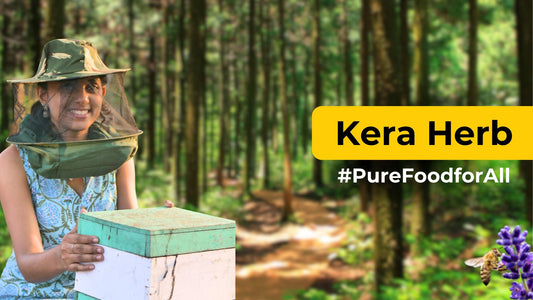 Kera Herb – Stingless Bee Colony Setup Guide