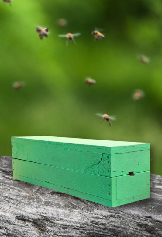 Wooden Stingless Honey Bee Box: Your Sanctuary for Native Pollinators