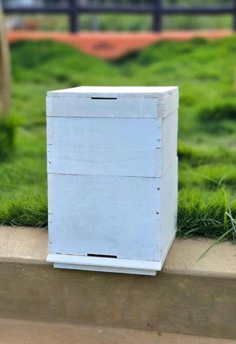 Honey Bee Hive: Newton-Type Wooden 2-Chamber Indian Honey Bee Box