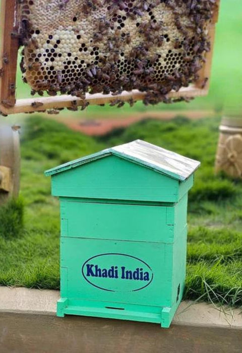 Honey Bee Colony with Wooden Beehive (Ideal for Beginners & Experts)