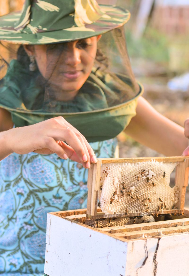 Bee Veil - Effortless Honey Harvesting