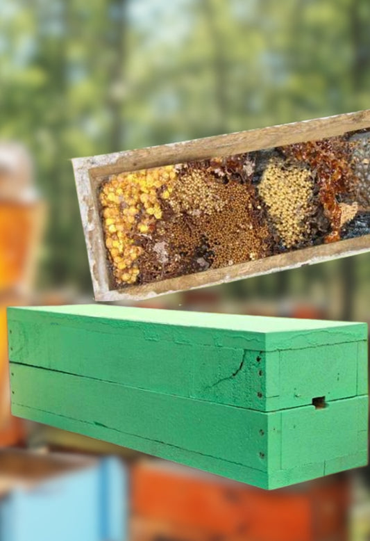 Stingless Bee Colony With Wooden Bee Box | Kera Herb